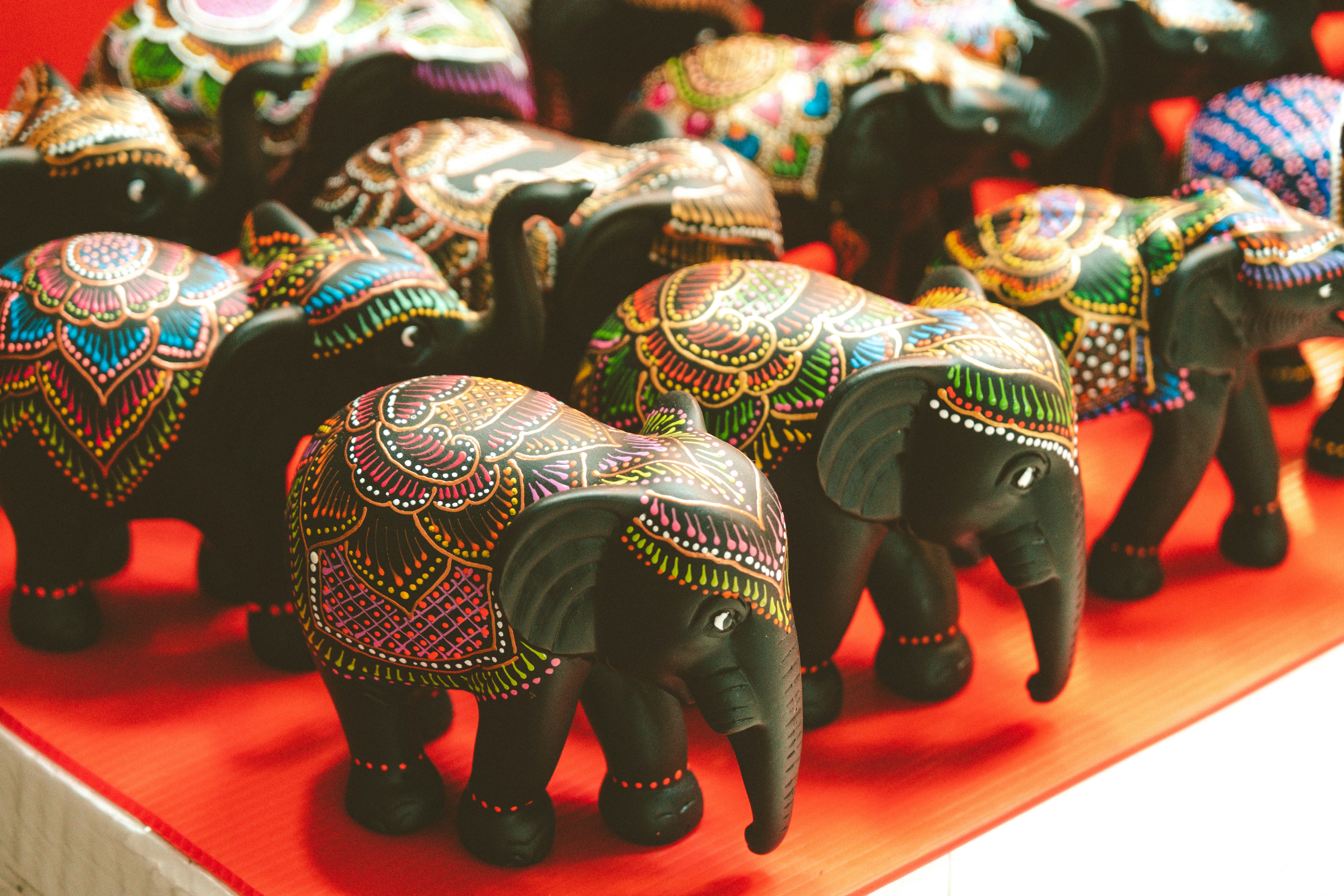 Photo by geoffreykang_21