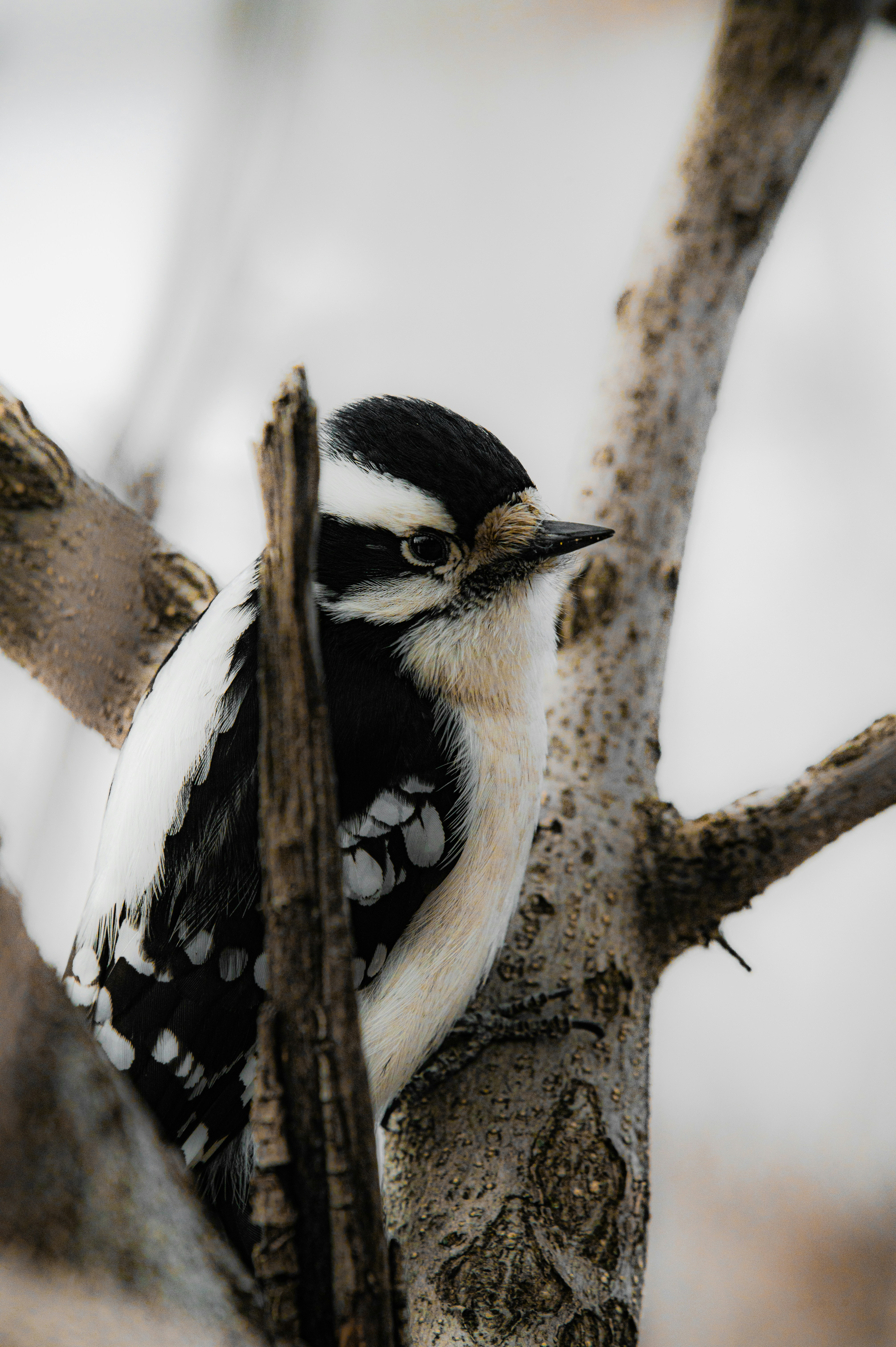 Photo by ryunosuke_kikuno