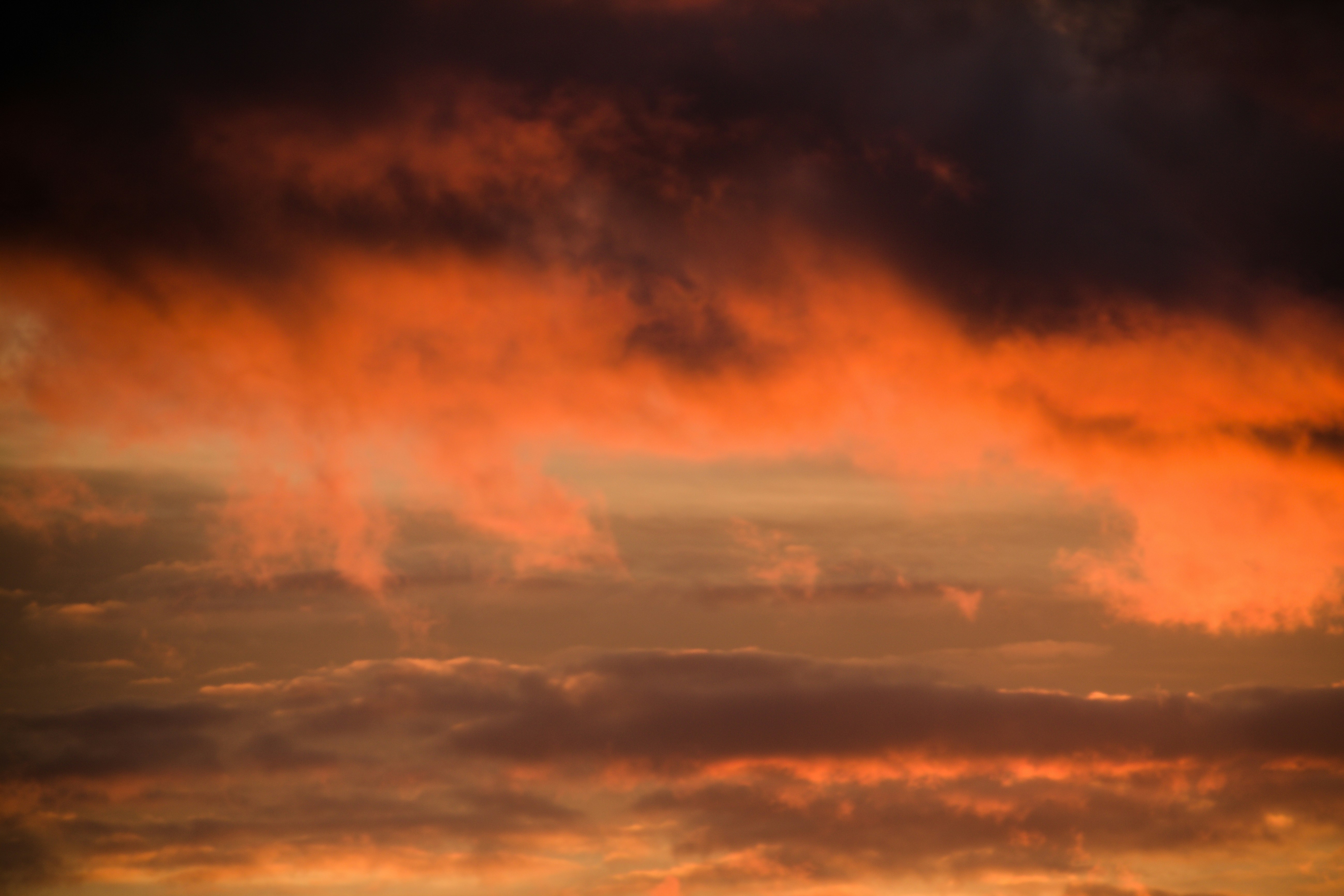 Photo by klarin_steffens