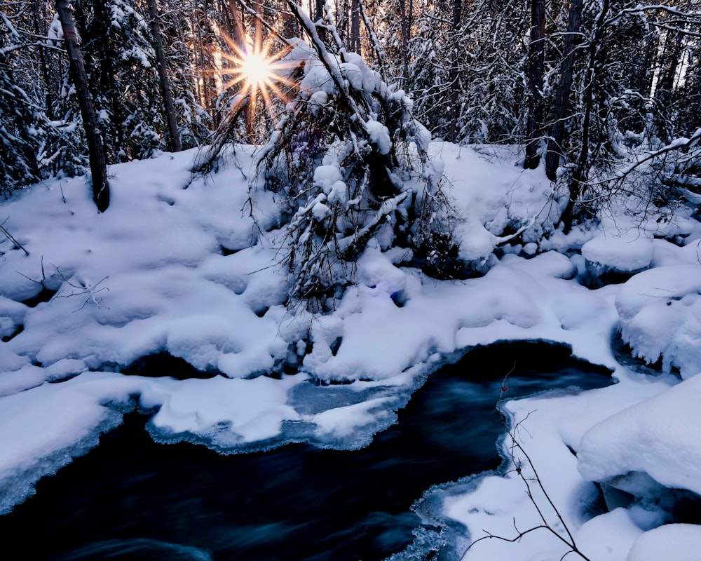 a stream running through a snow covered forest