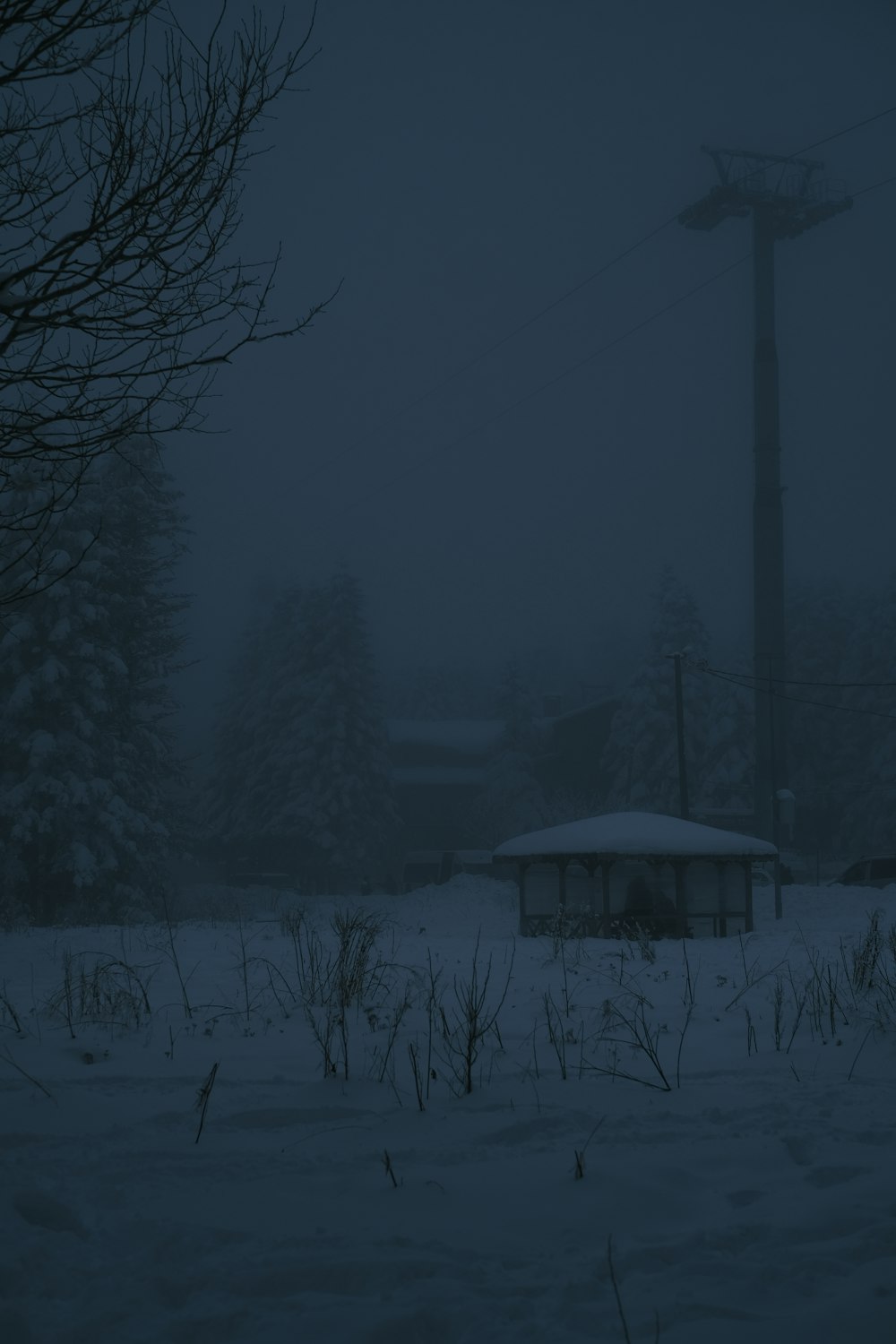 a snowy field with a telephone pole in the background