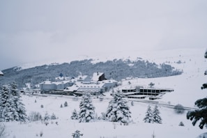 a snow covered mountain with houses and trees in the foreground