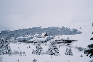 a snow covered mountain with houses and trees in the foreground