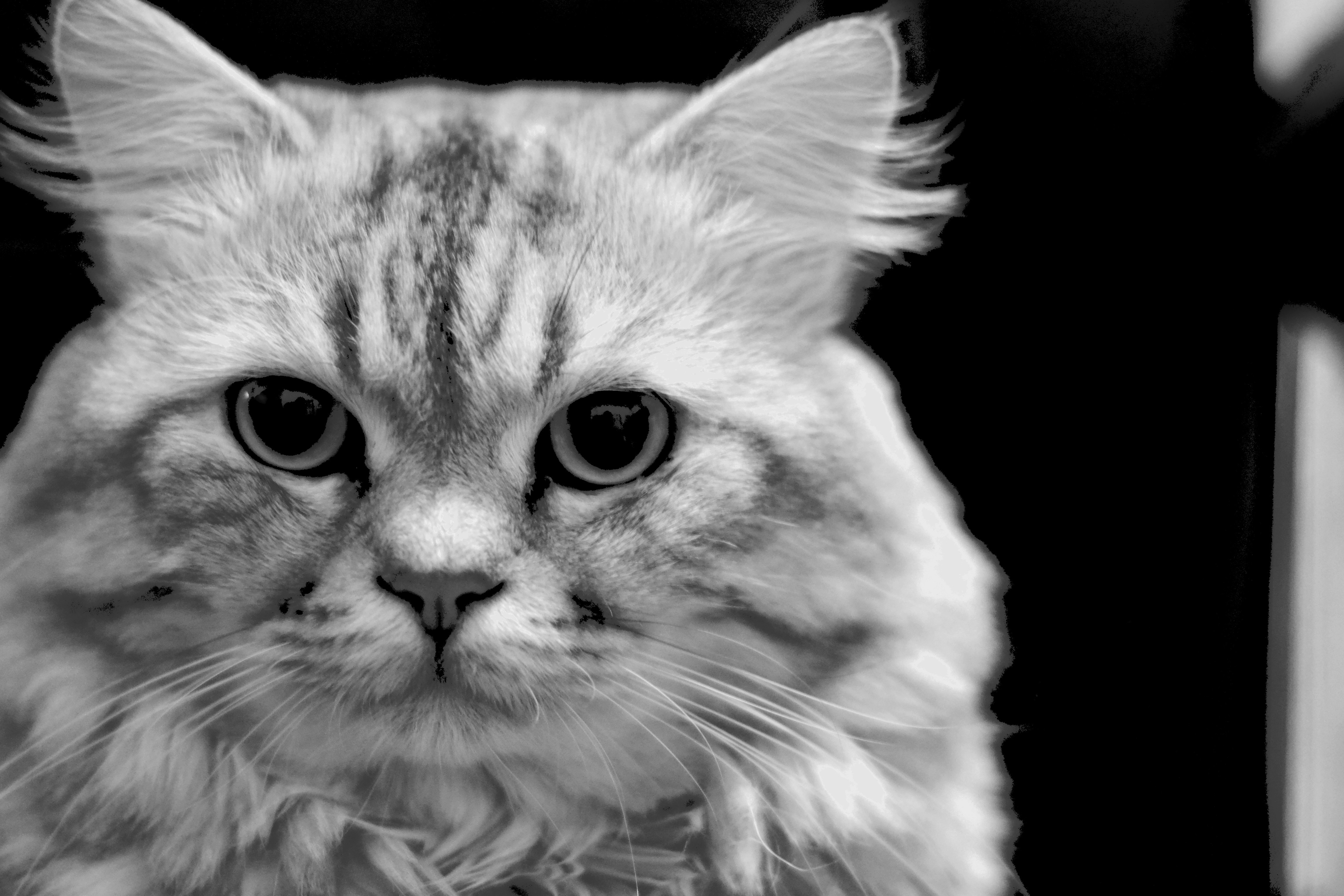 Photo by mohammad_zeeshan