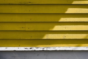 Close-up of a painter carefully applying a smooth coat of yellow paint on a wooden wall