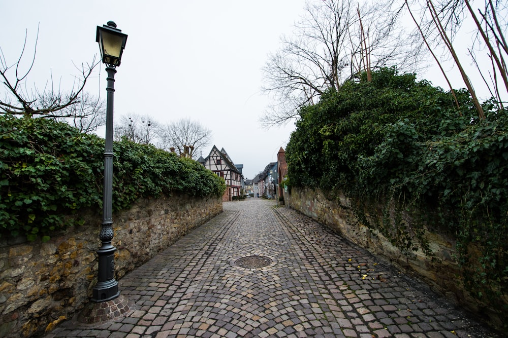 a cobblestone street with a lamp post in the middle