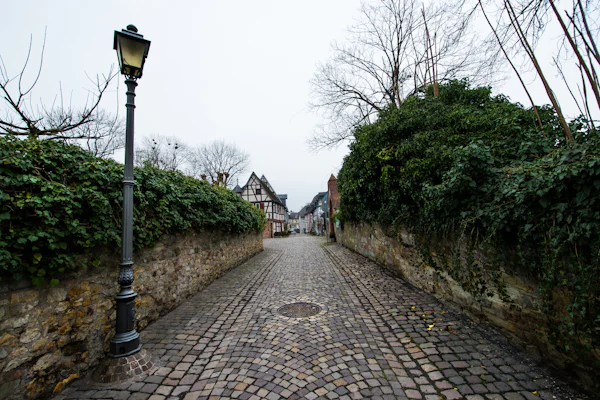 Cobblestone street with lamp post representing a quiet Leming Texas neighborhood