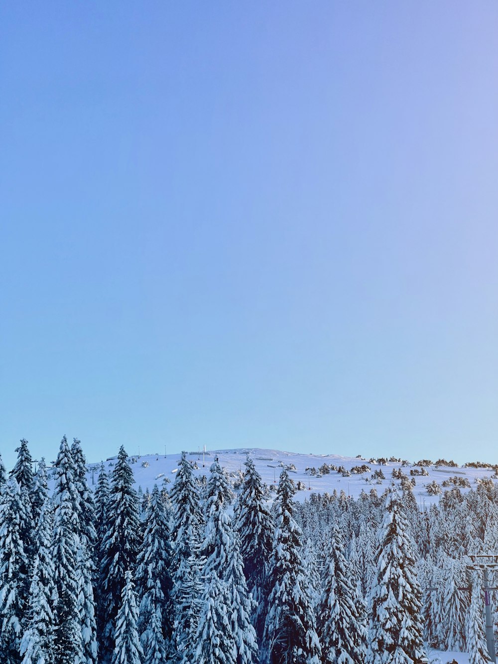 a ski slope with trees covered in snow