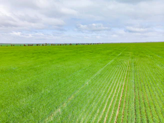 A vibrant farm landscape showing diverse crops and sustainable farming practices under a clear sky.