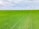 A vast expanse of green farmland stretches across the horizon under a partly cloudy sky. Neatly arranged rows of crops create a uniform pattern, suggesting well-maintained agricultural practices.