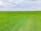 A vast expanse of green farmland stretches across the horizon under a partly cloudy sky. Neatly arranged rows of crops create a uniform pattern, suggesting well-maintained agricultural practices.