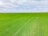 A vast expanse of green farmland stretches across the horizon under a partly cloudy sky. Neatly arranged rows of crops create a uniform pattern, suggesting well-maintained agricultural practices.
