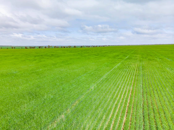 A vibrant farm landscape showing diverse crops and sustainable farming practices under a clear sky.