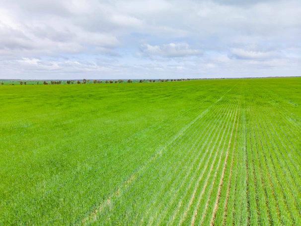 A vibrant farm landscape showing diverse crops and sustainable farming practices under a clear sky.