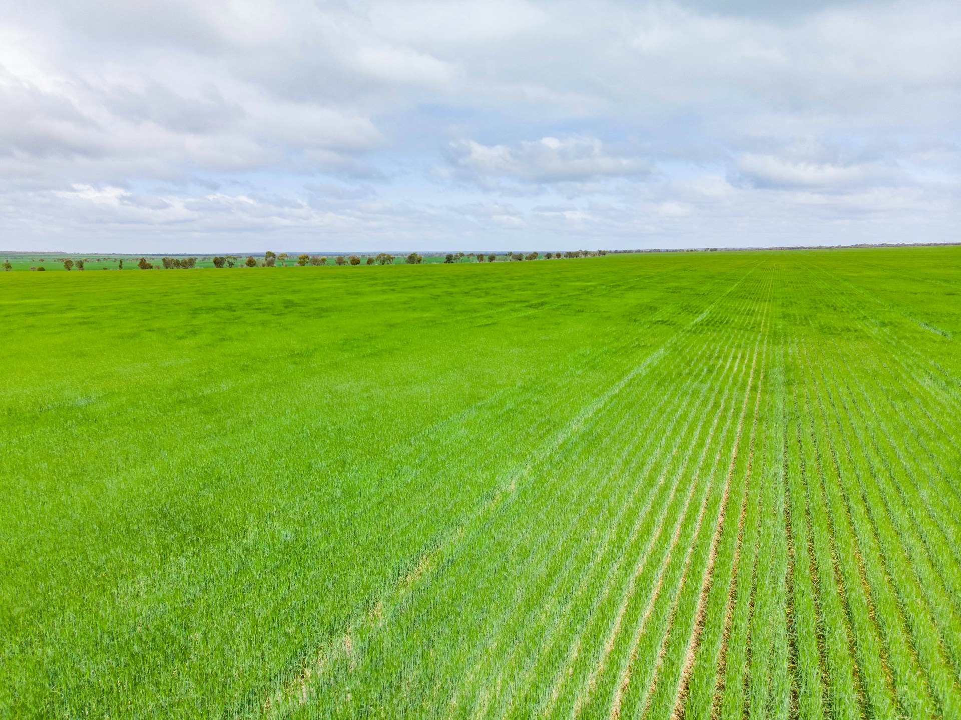 woman wearing yellow long-sleeved dress under white clouds and blue sky during daytime