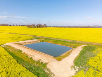 an aerial view of a field with a pond