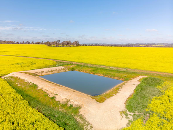 an aerial view of a field with a pond