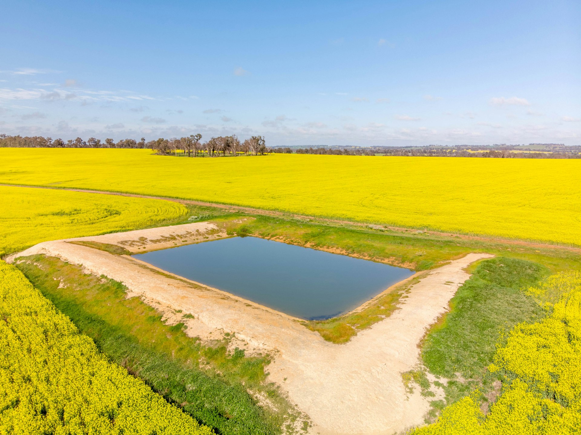 An aerial view of a farm pond amid Bihar's flat fields