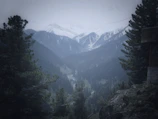 View from the chalet porch looking out over a misty valley.