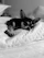 A happy dog resting comfortably after a successful sterilization procedure at a veterinary clinic.