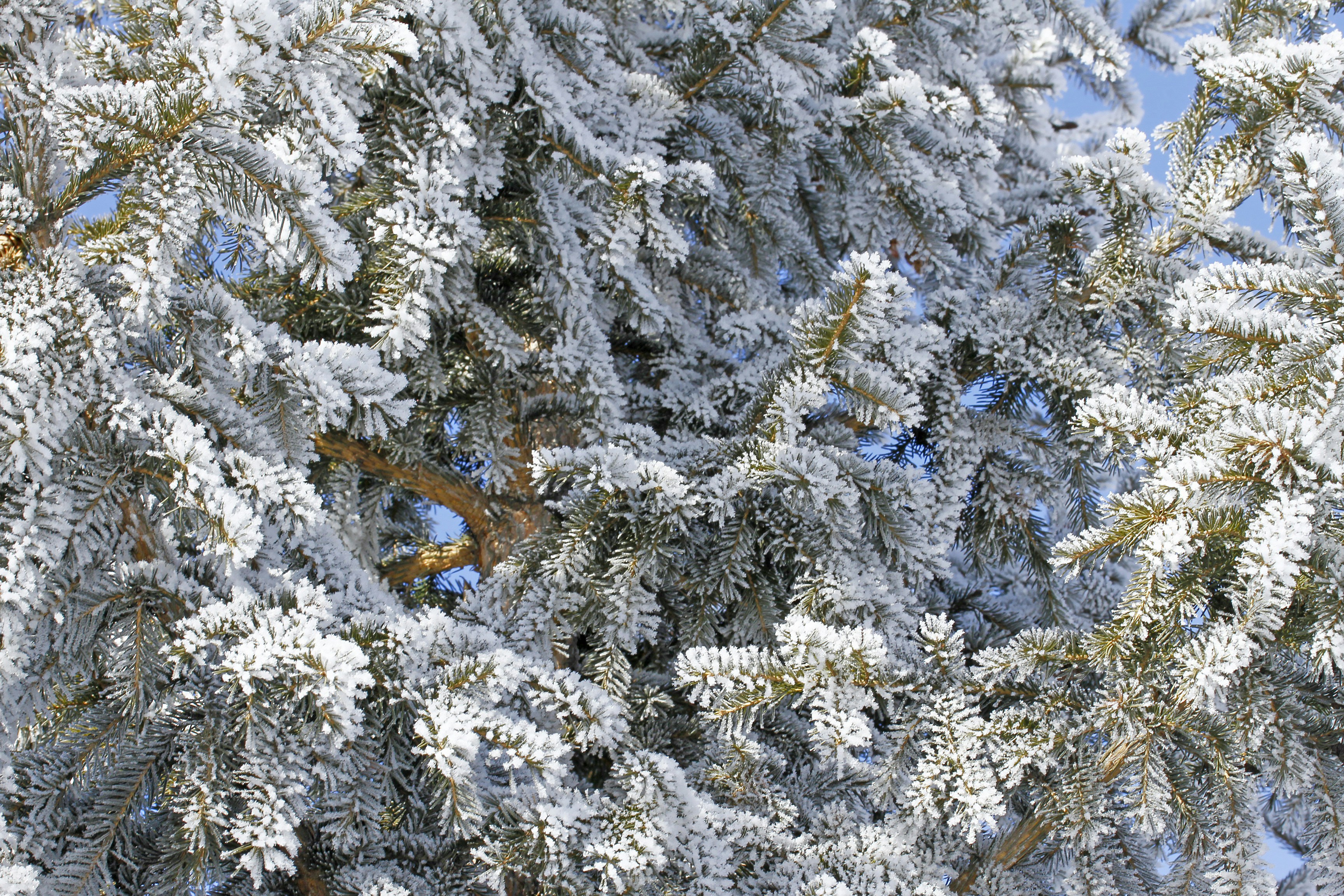 Photo by cheerful_procrastination