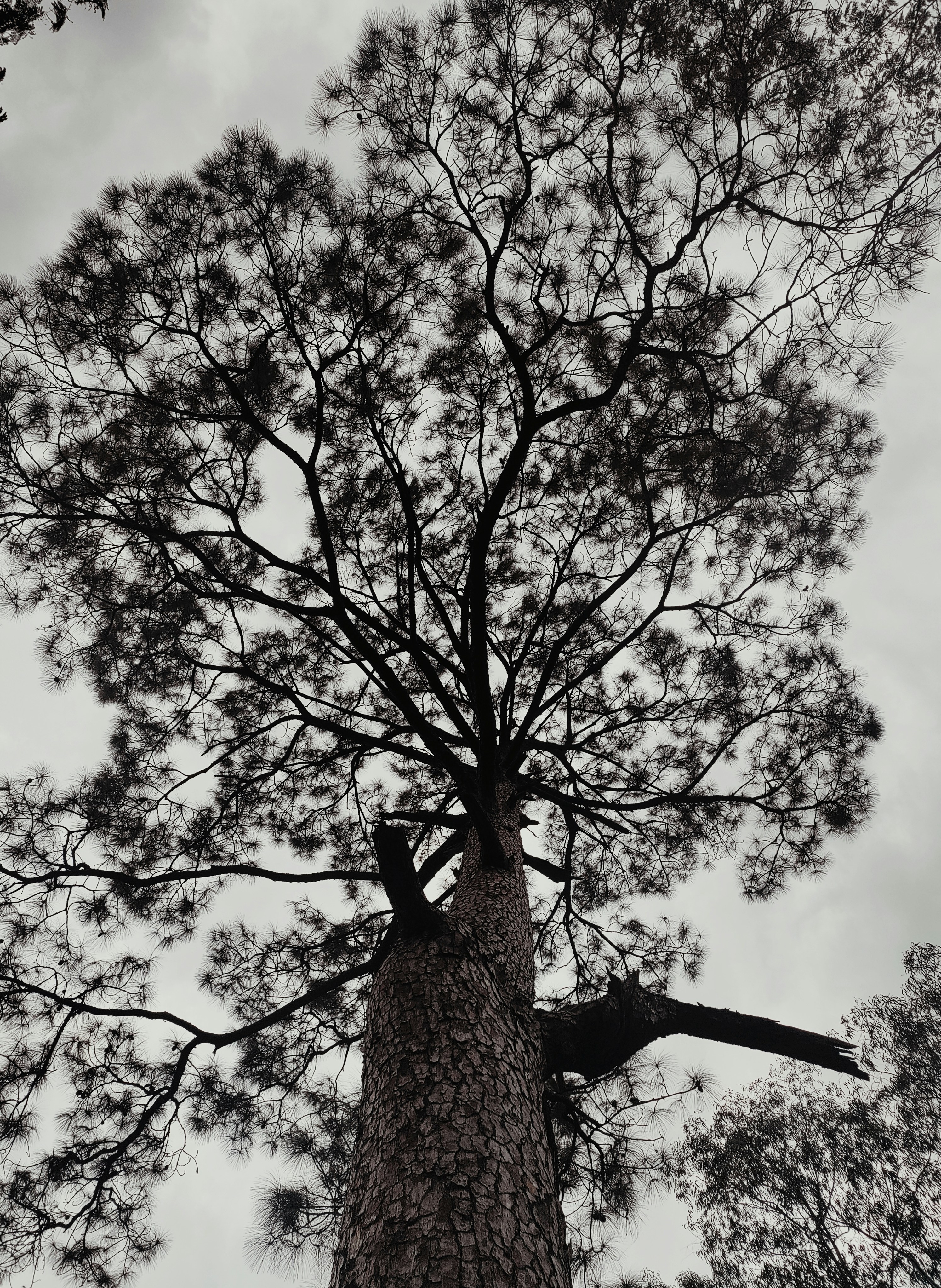 Photo by kushalvilla7