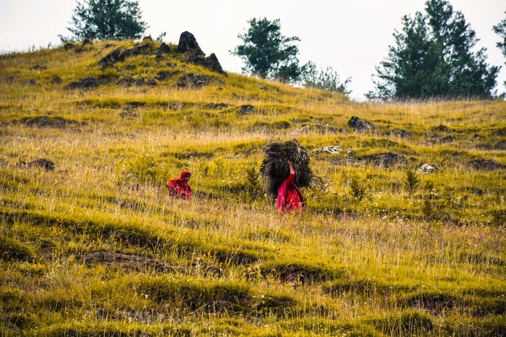 a couple of people that are in the grass