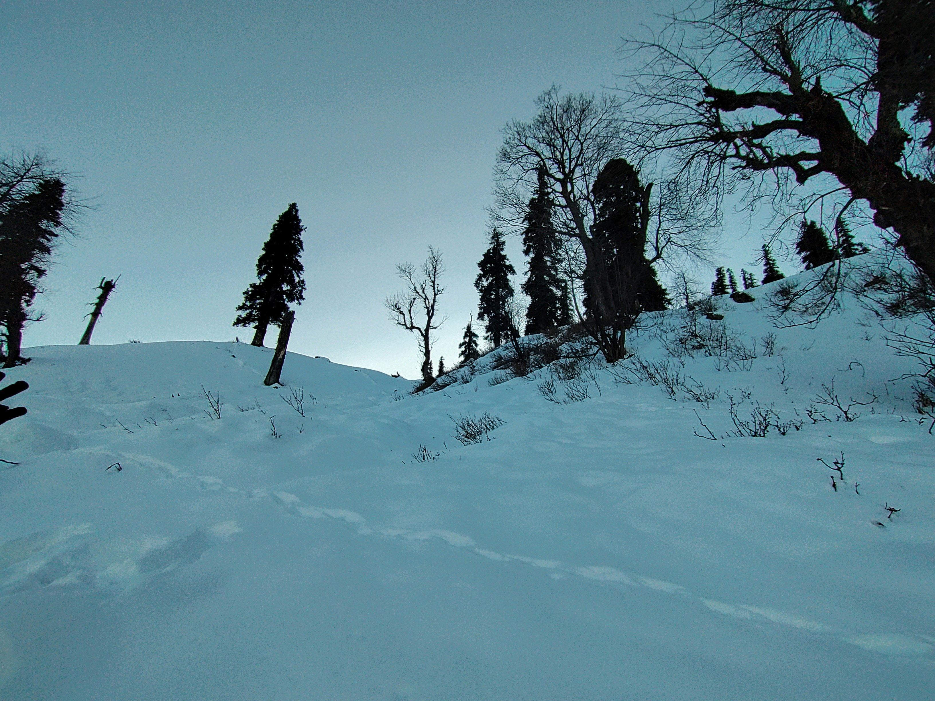 #trending: Why This Hashtag Is Going Viral