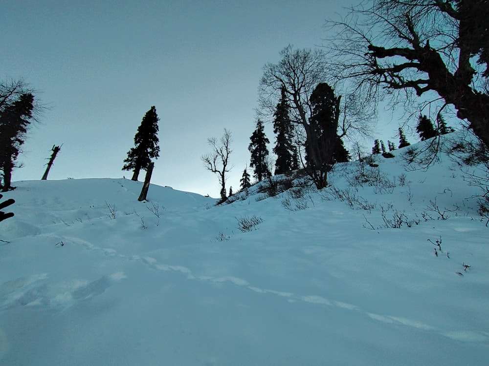 a person riding skis down a snow covered slope