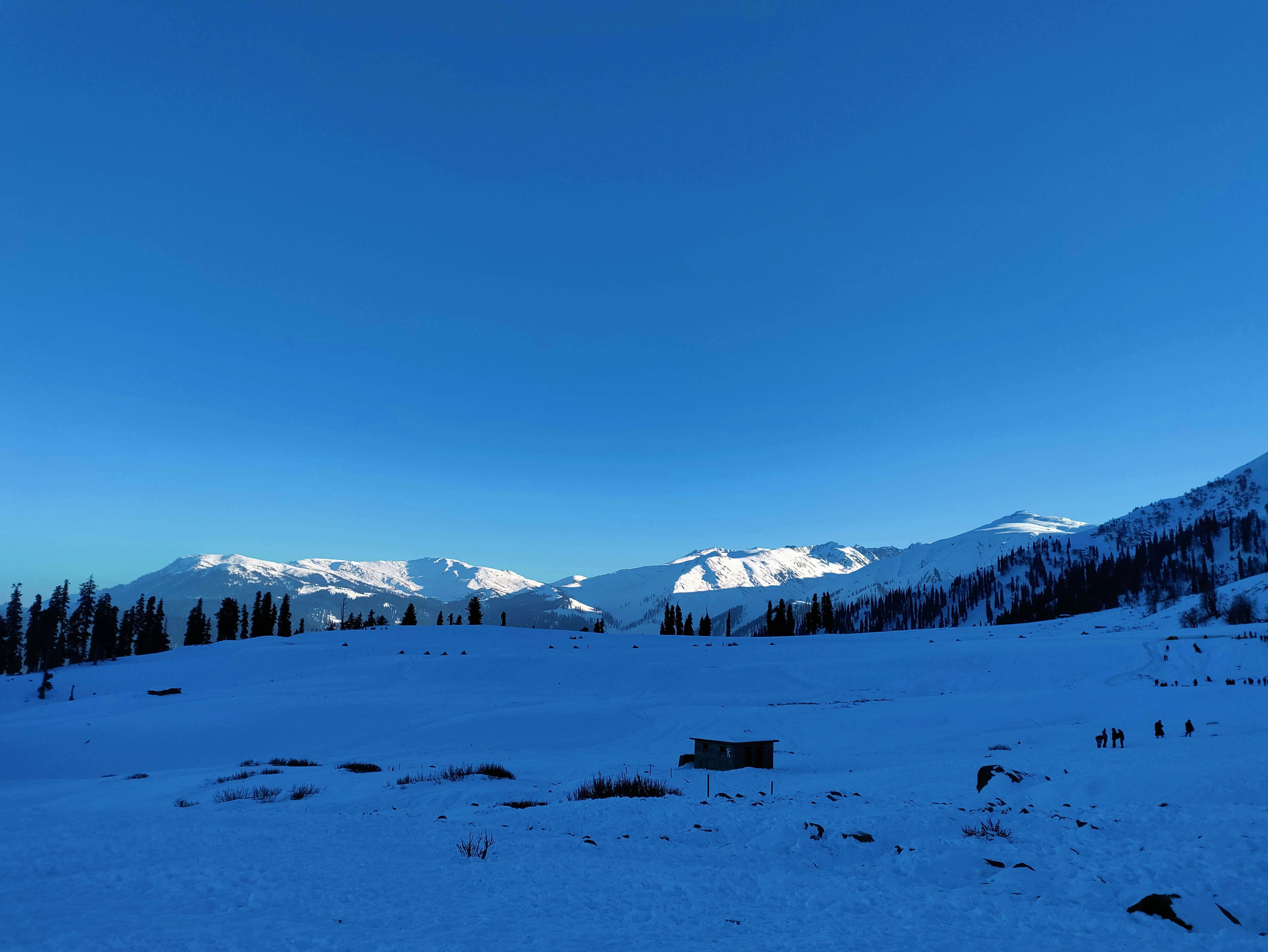 Behind the #trending Trend: What You Need to Know