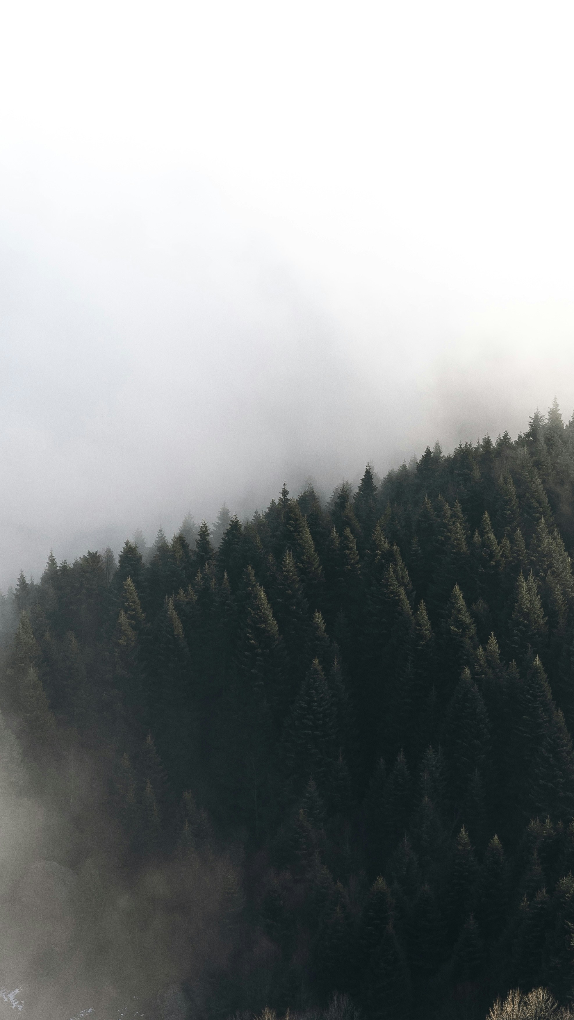 Photo by ahmetcanturk