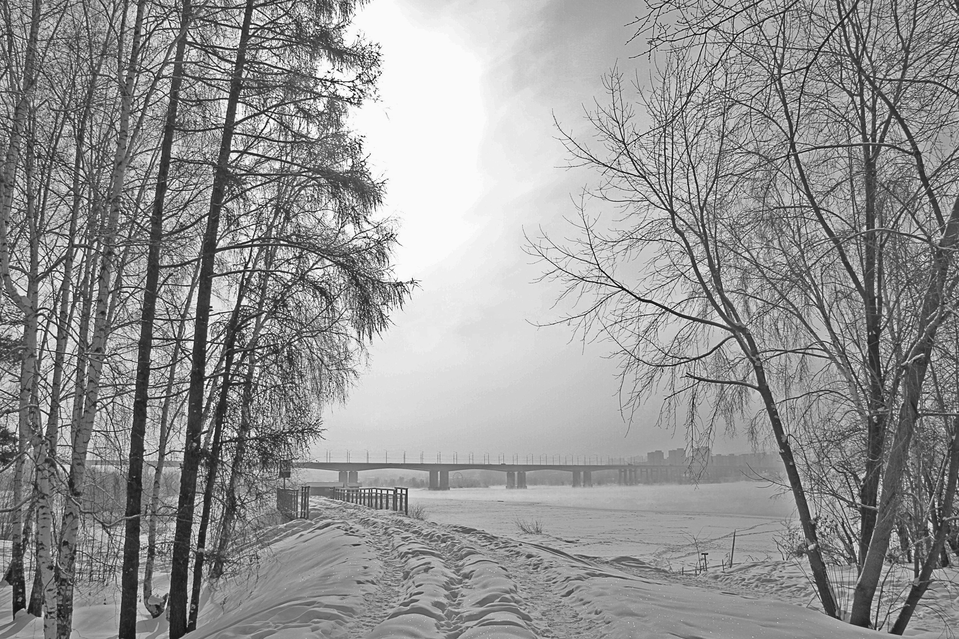 橋を背景にした雪道