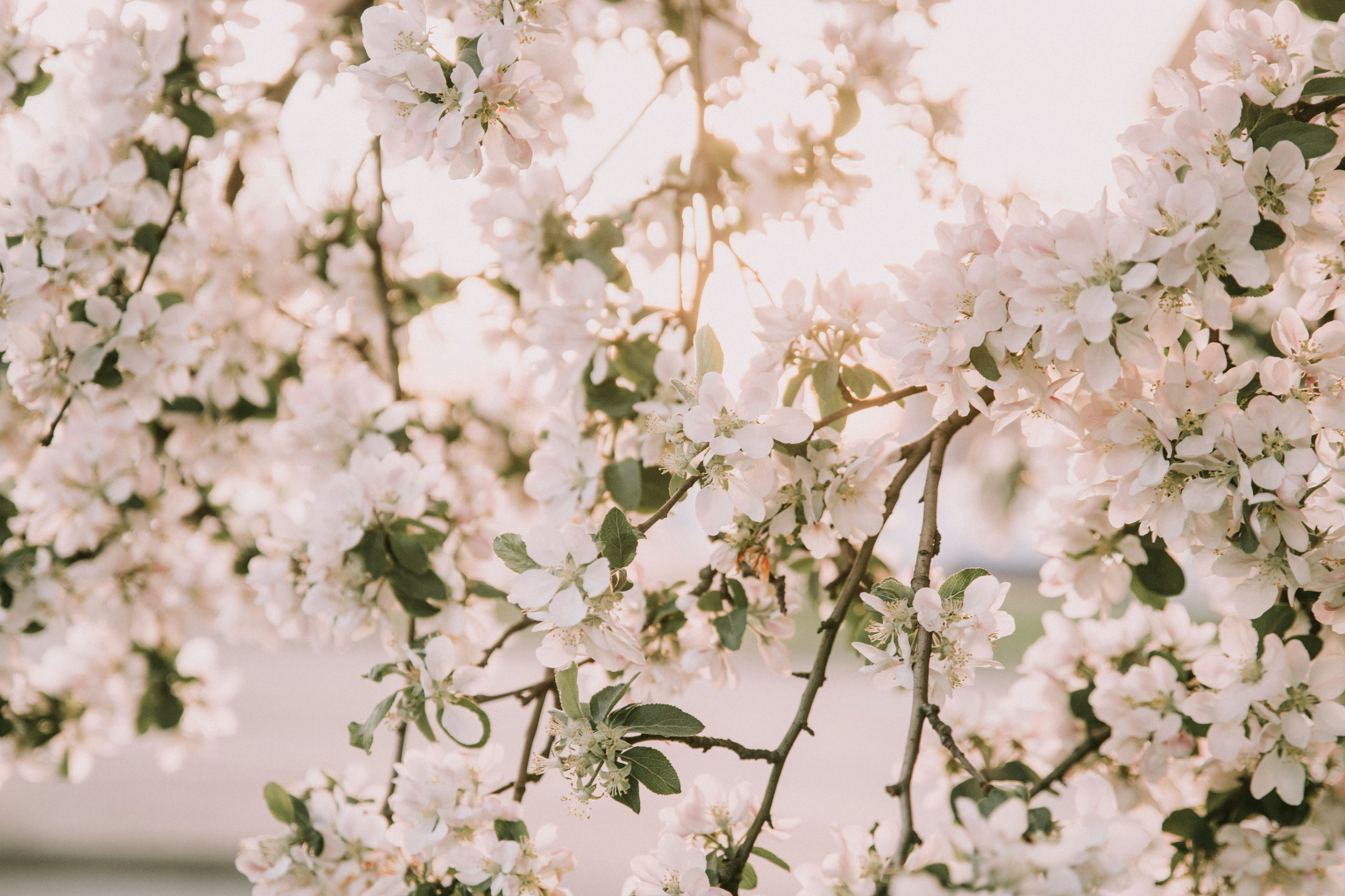 Photo by anitaaustvika