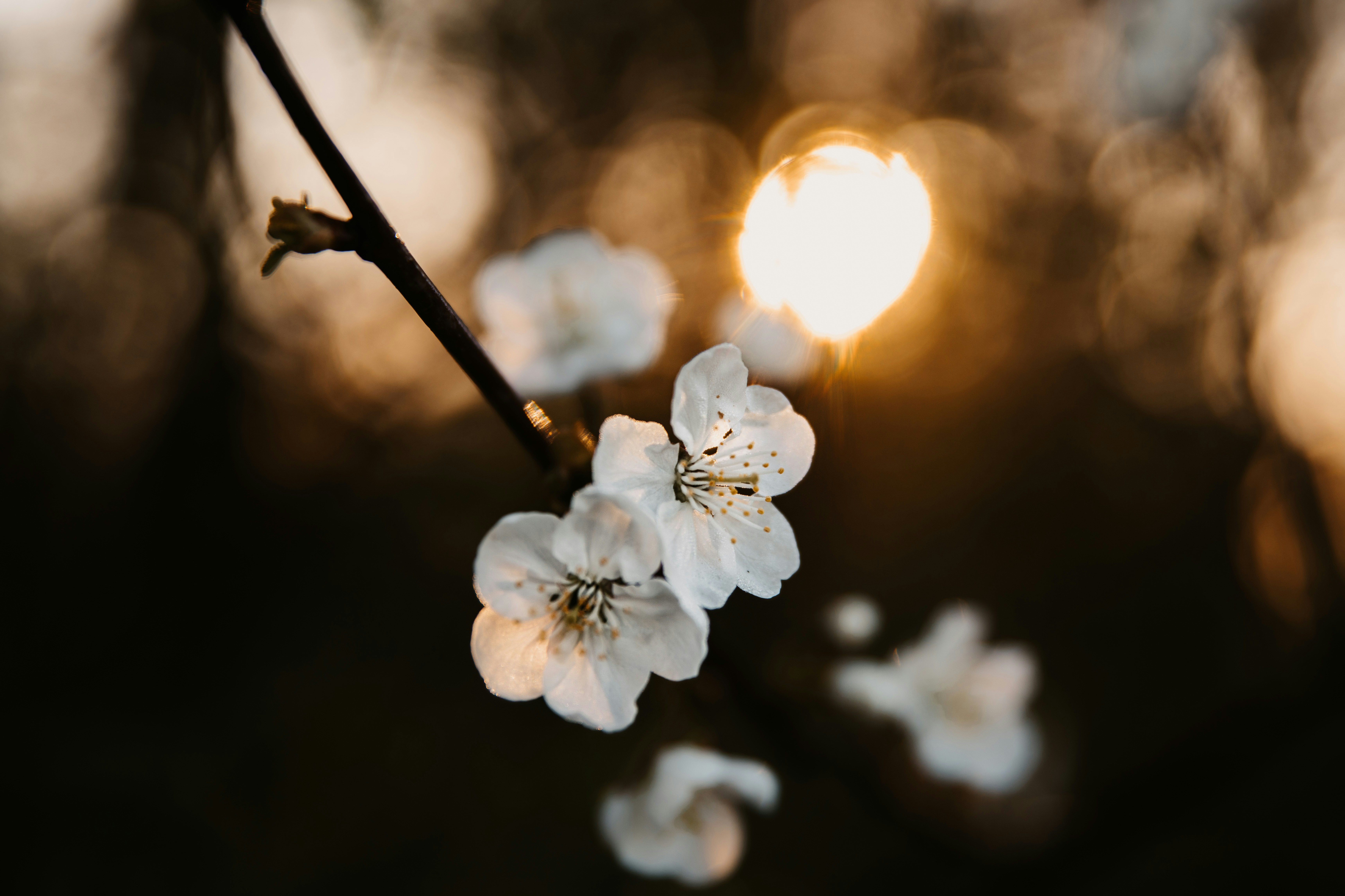 Photo by anitaaustvika