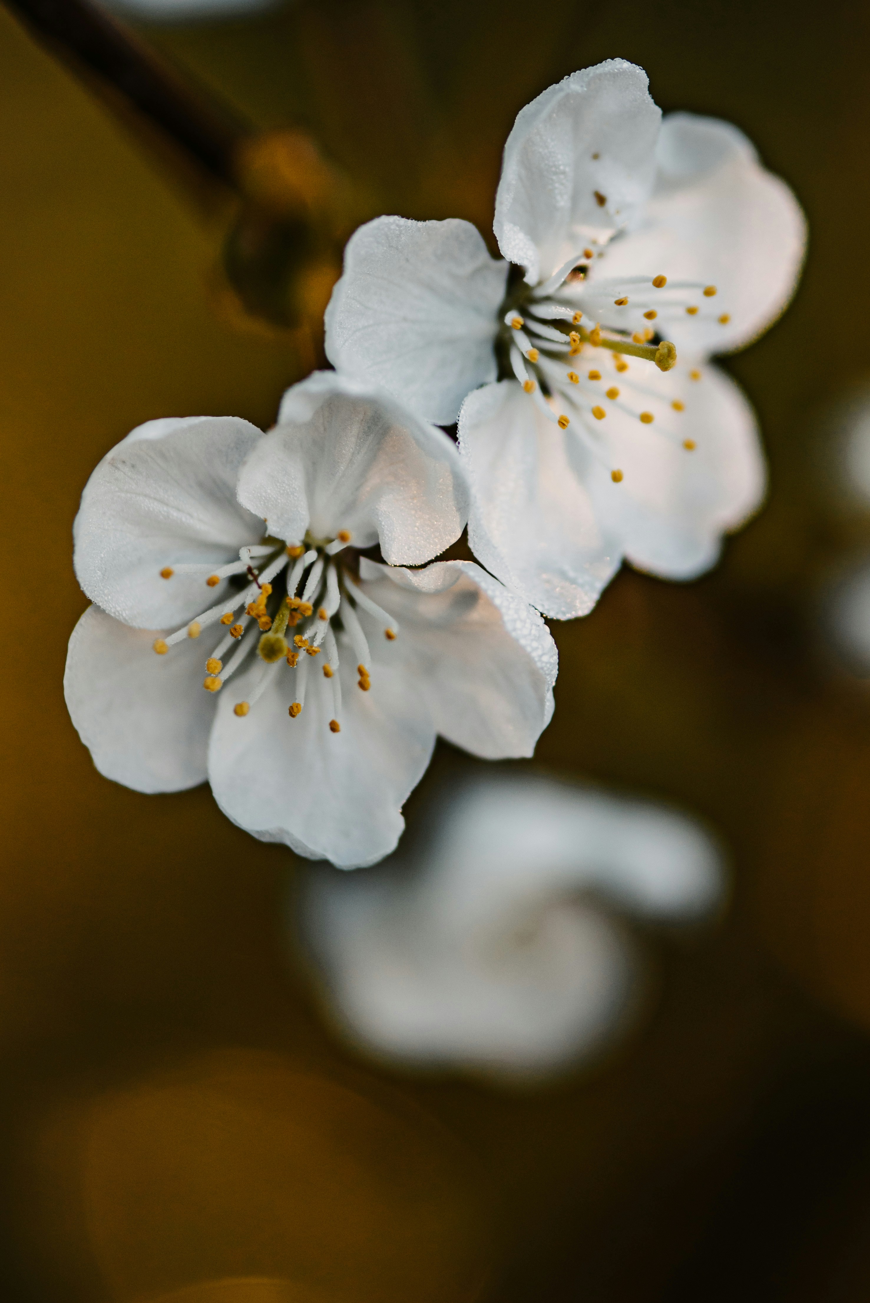 Photo by anitaaustvika