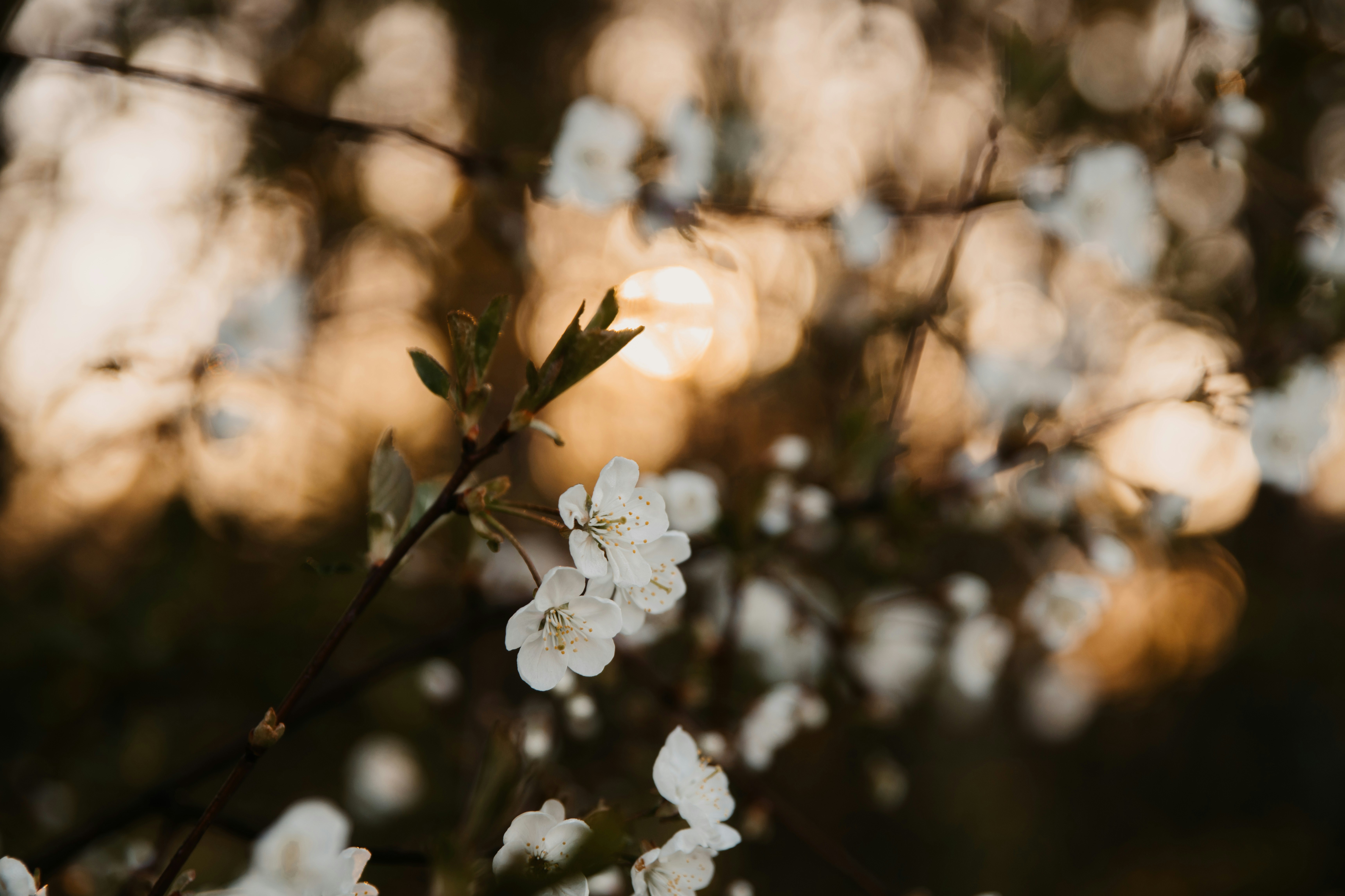 Photo by anitaaustvika