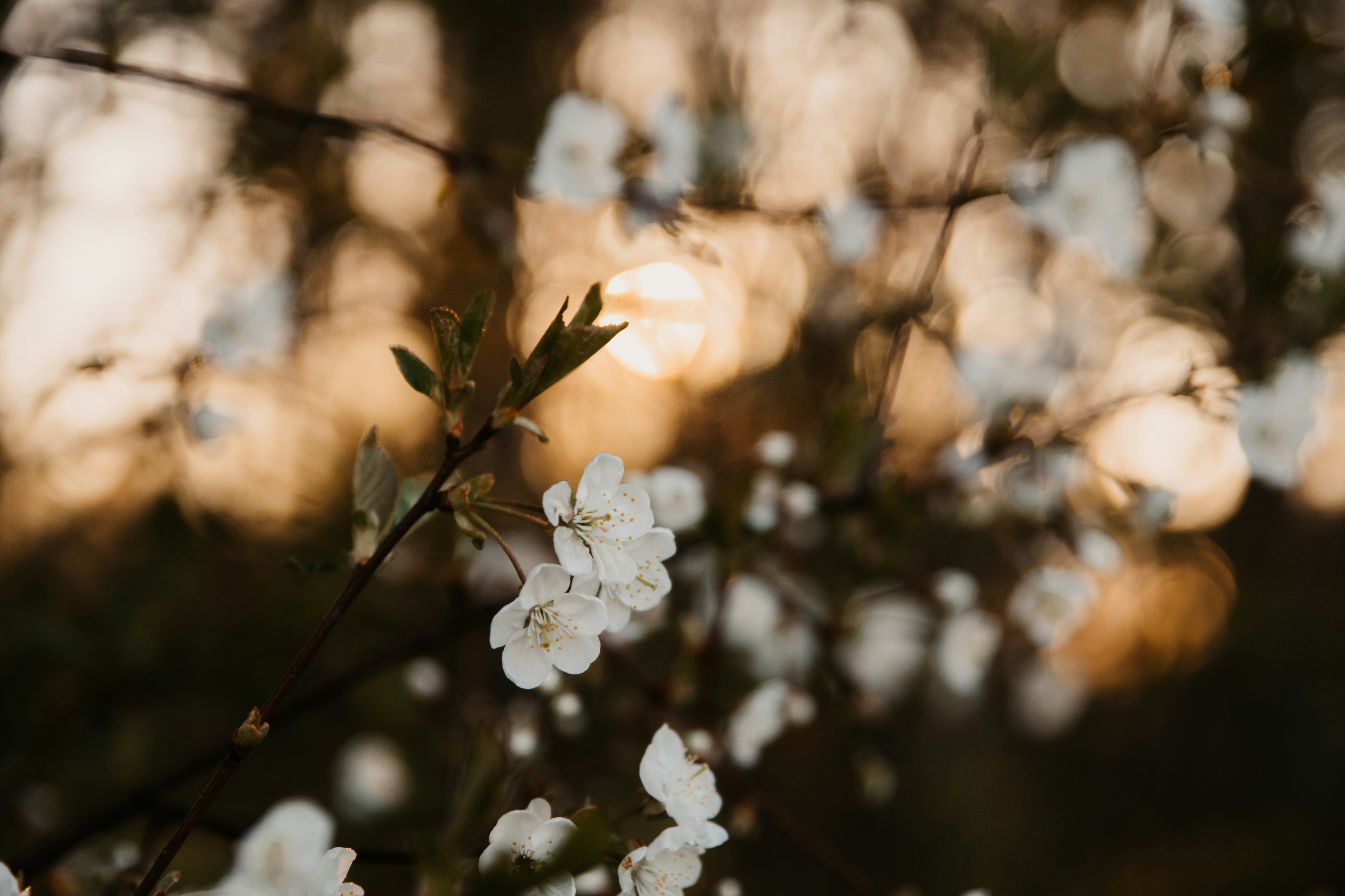 Photo by anitaaustvika