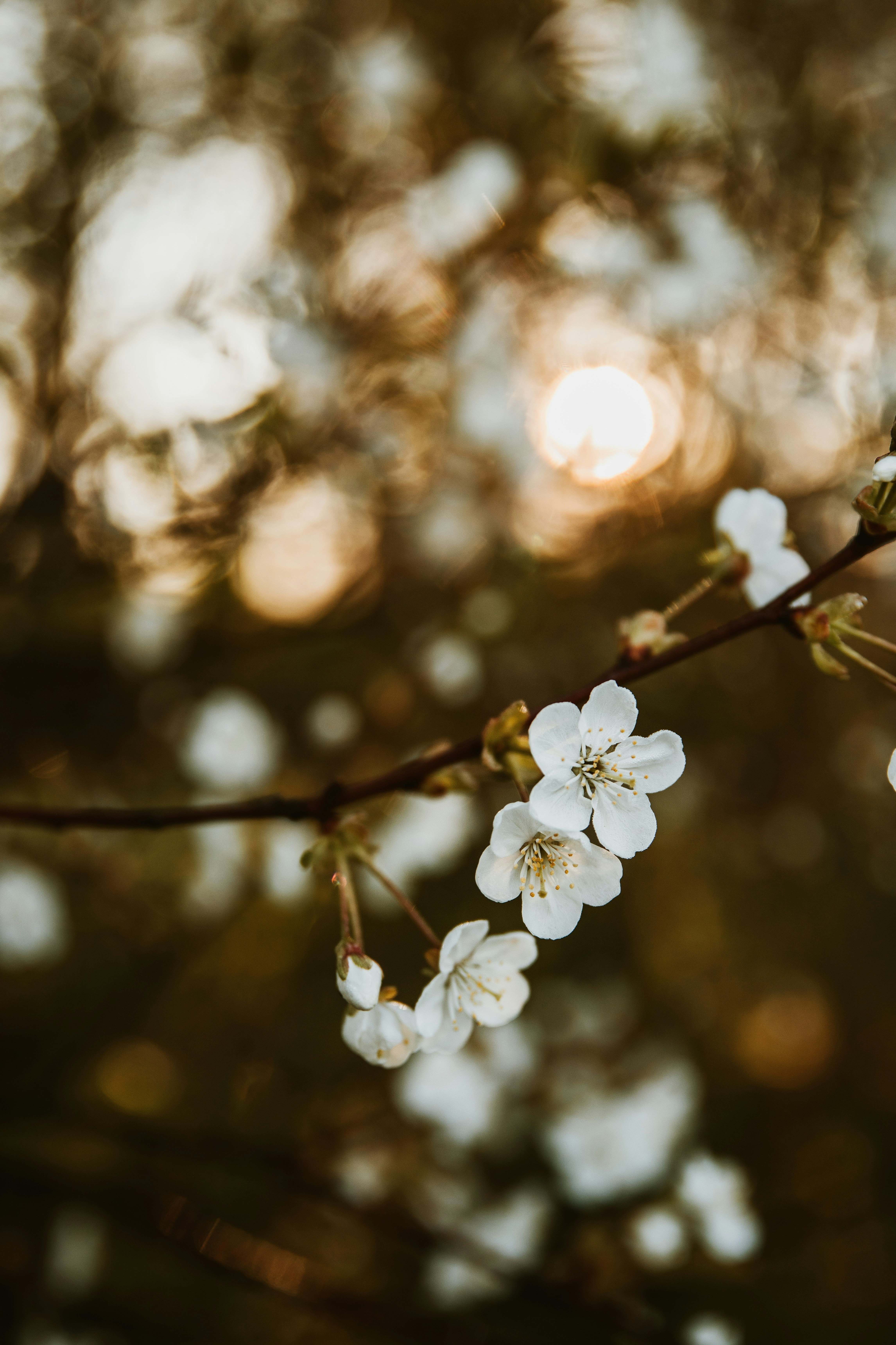 Photo by anitaaustvika