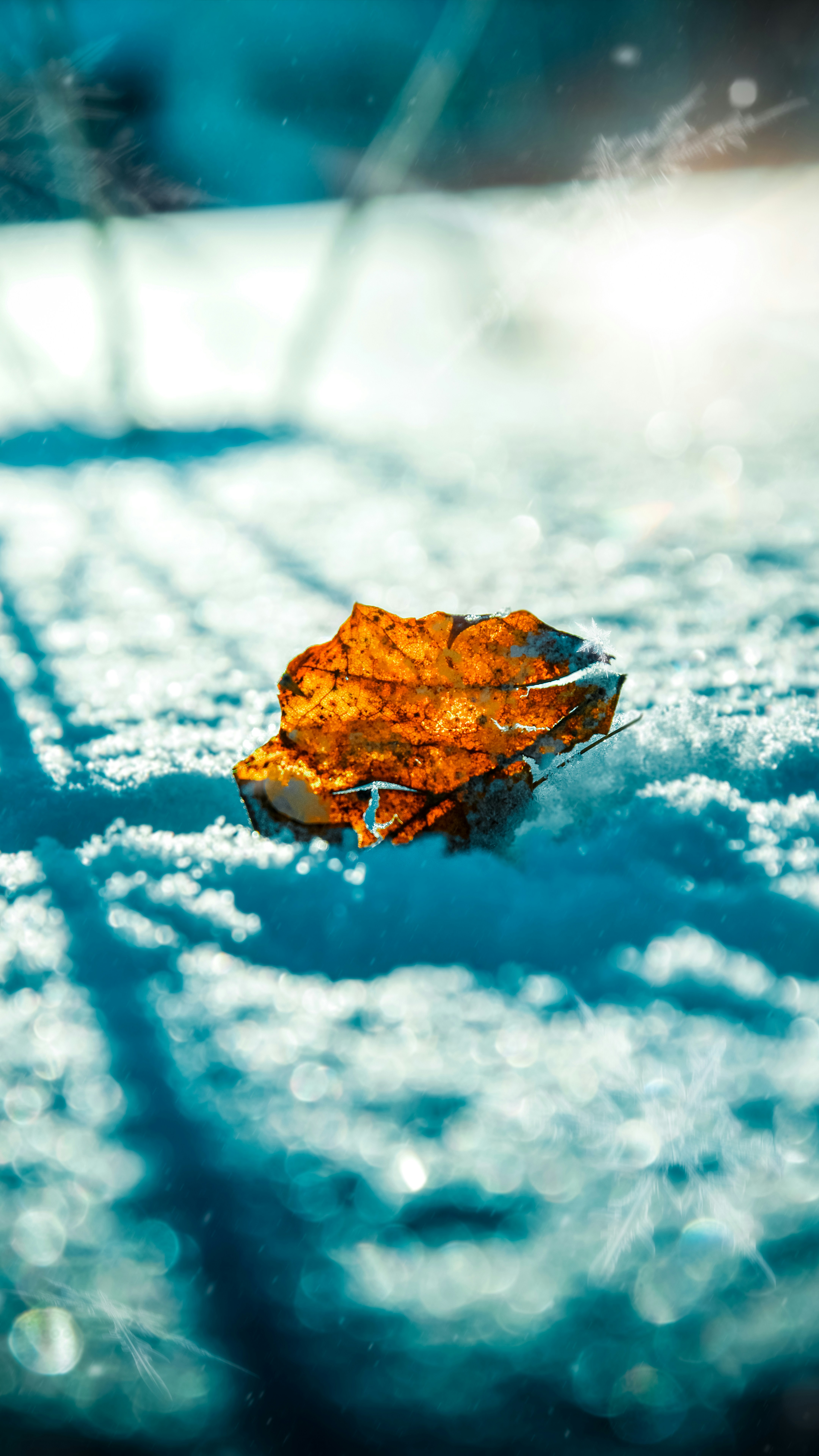 Photo by impermanent