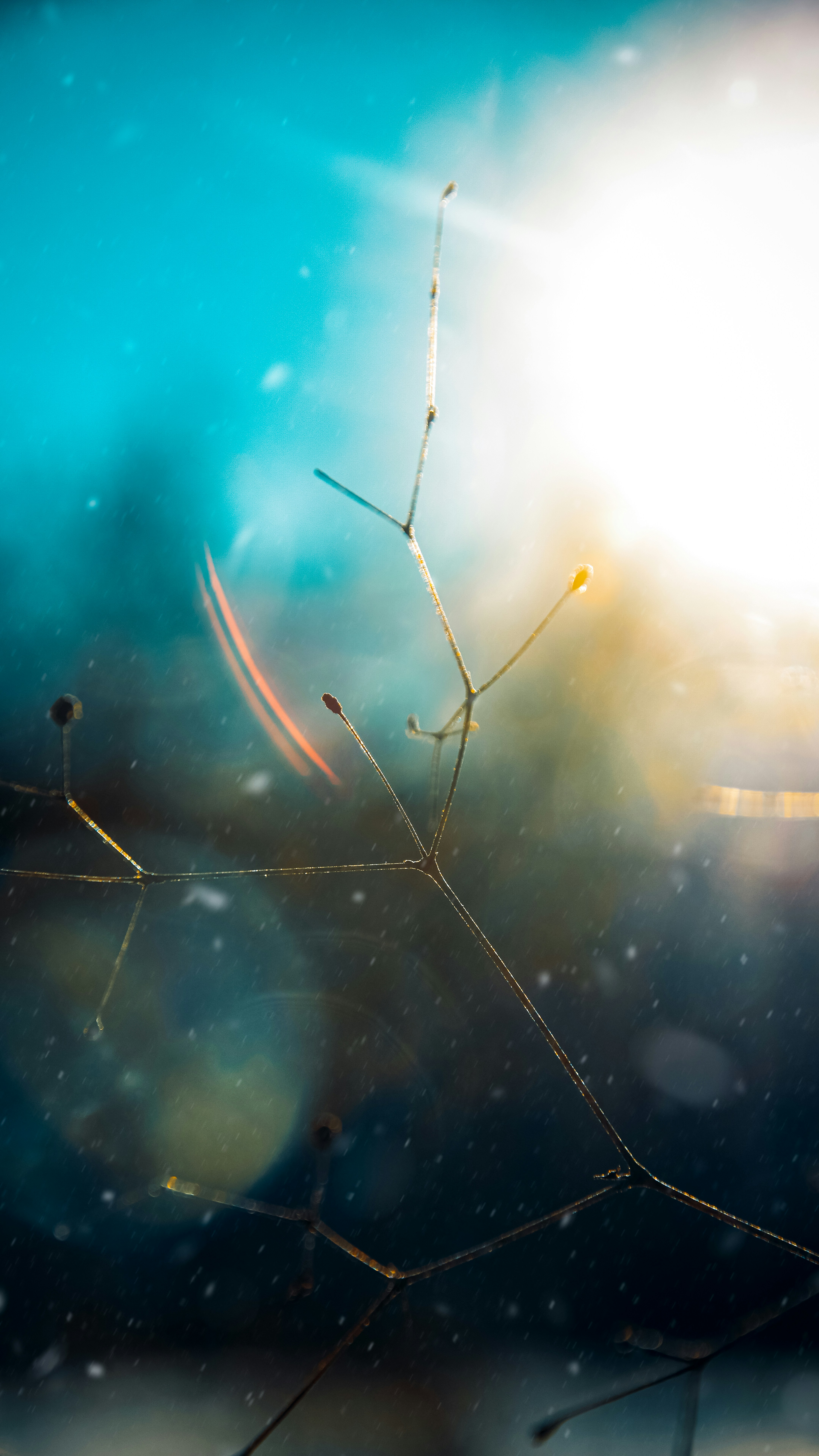 Photo by impermanent