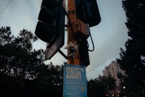 A traffic light mounted on a tall pole is visible, with a poster attached to it. The poster reads 'HOW'S YOUR RIDE?' and suggests making transport better through an election. The background features trees and a partially cloudy sky with a building visible at the right edge.