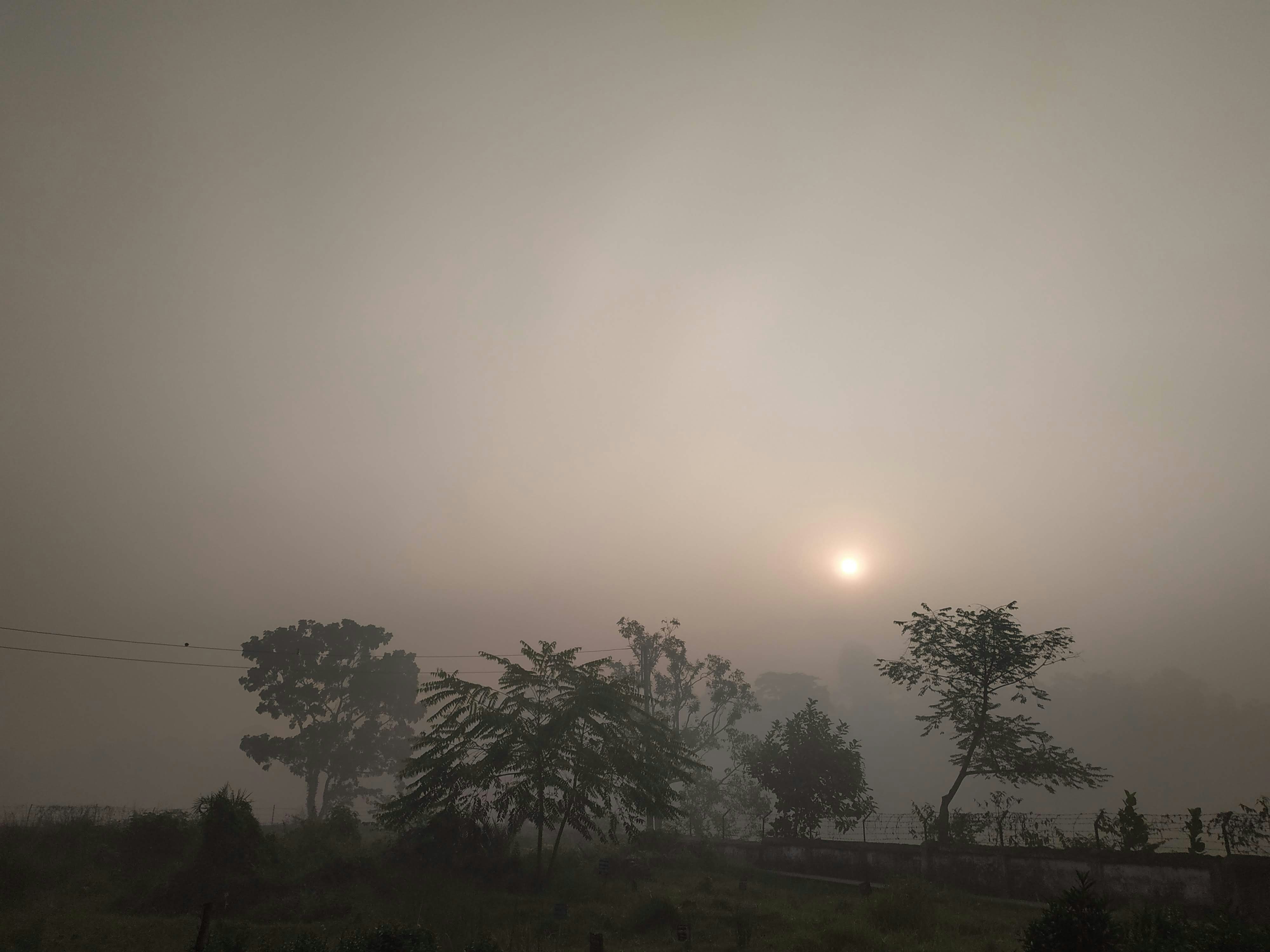 Photo by sydinrahman