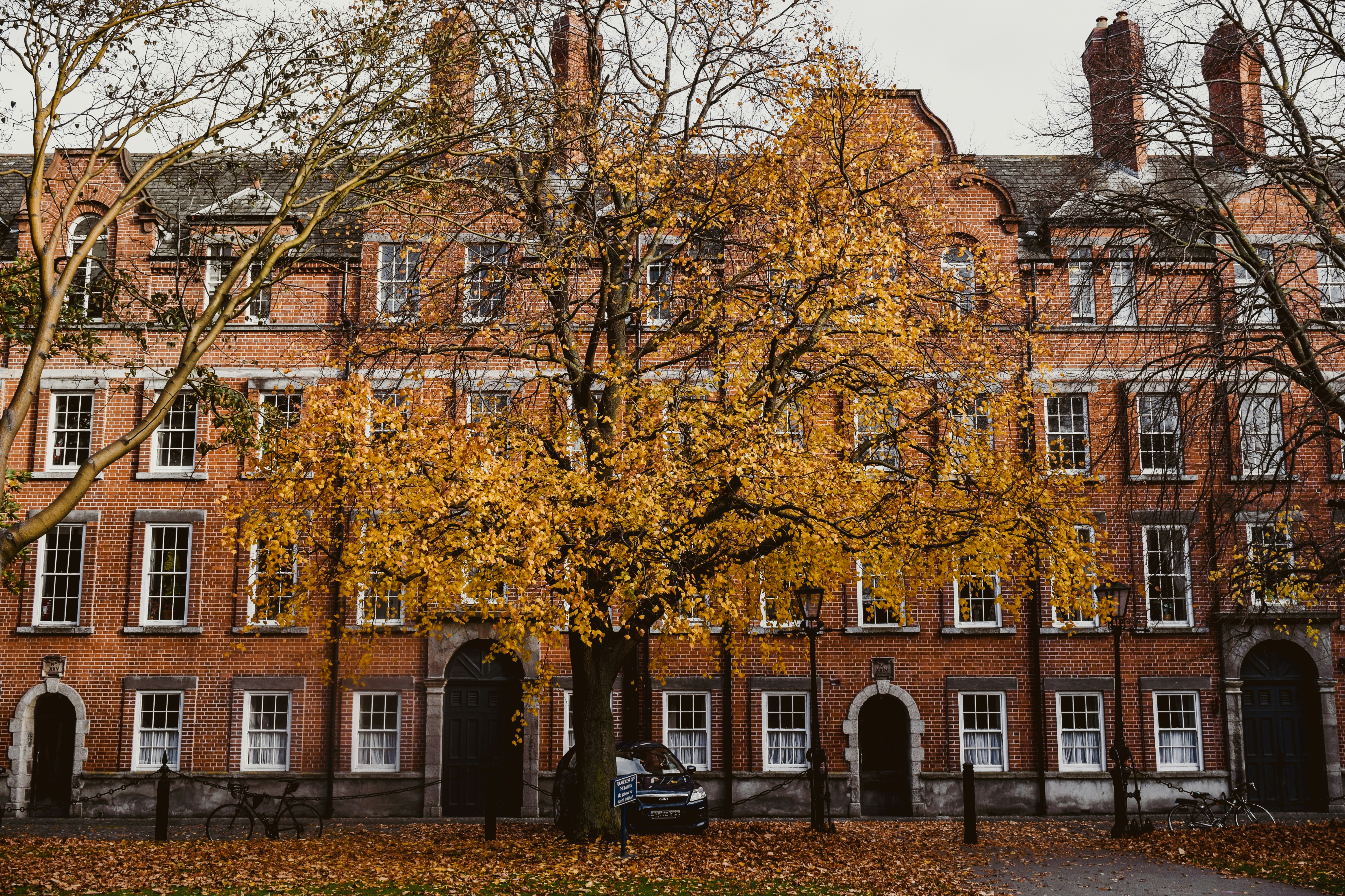 Bias‑Resistant Nomination & Review Rubrics for Submission Platforms: Practical Playbooks for 2026