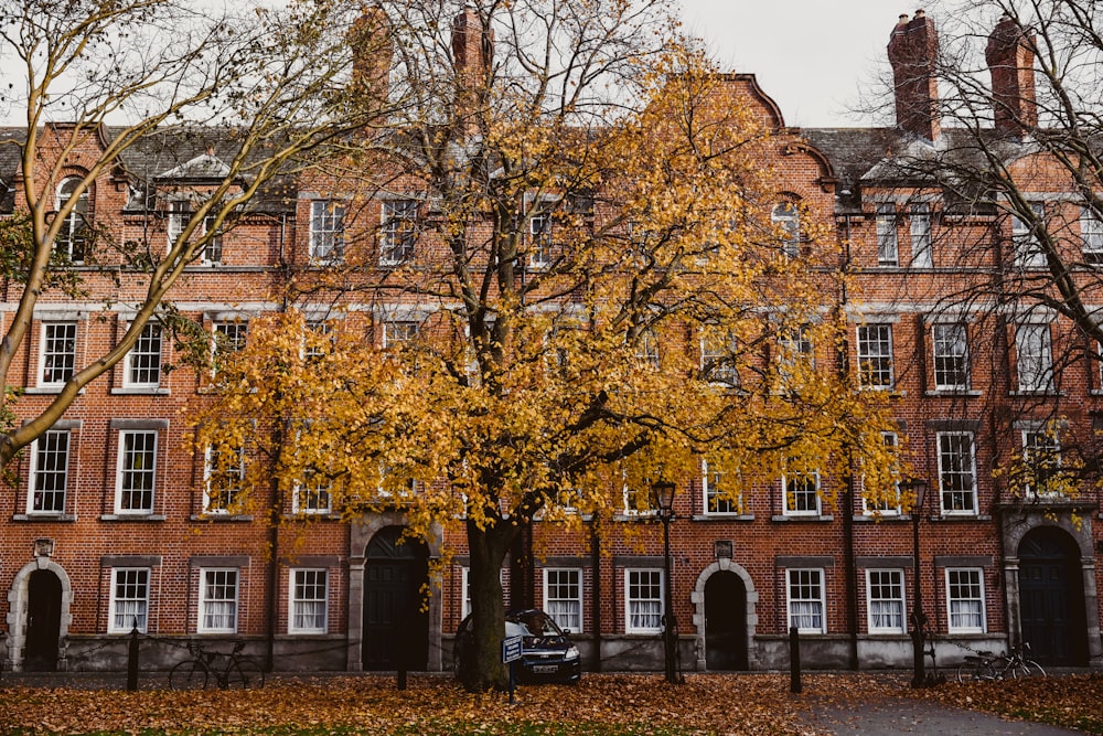 a large brick building with a tree in front of it