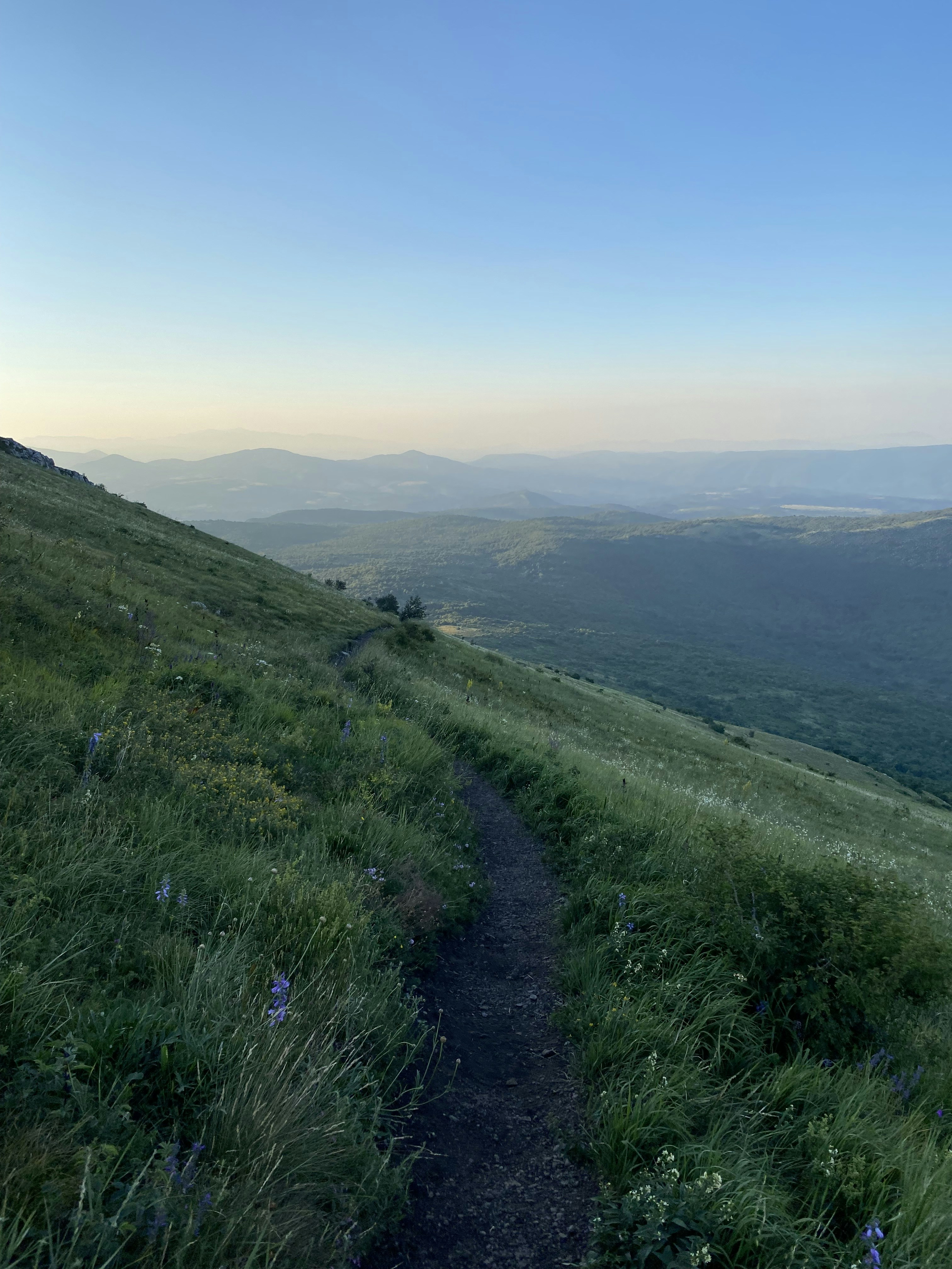 Photo by djuka11