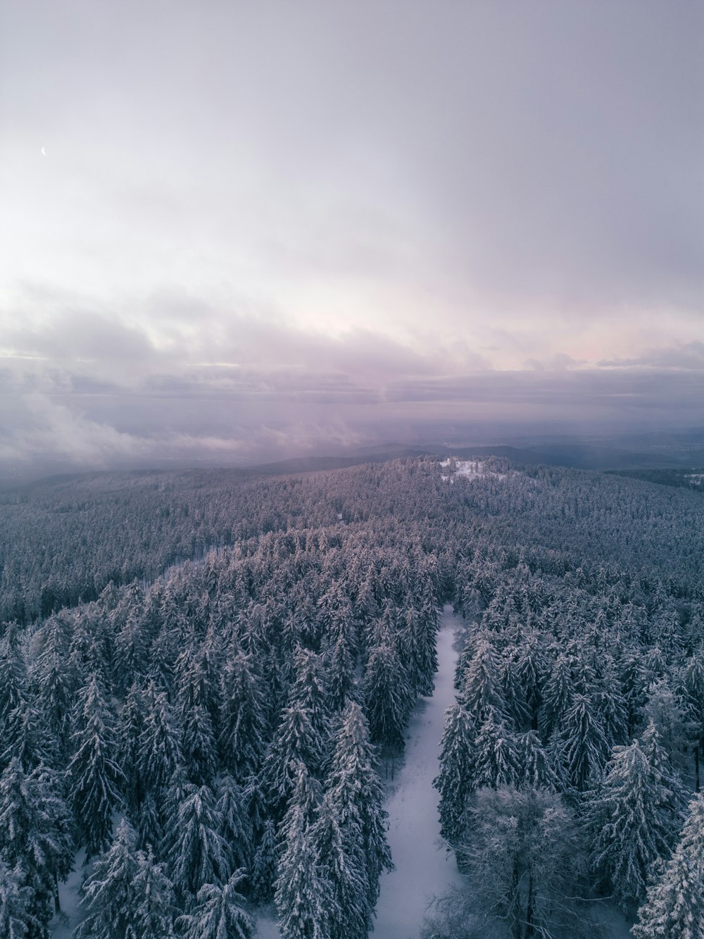 une vue aérienne d’une forêt enneigée