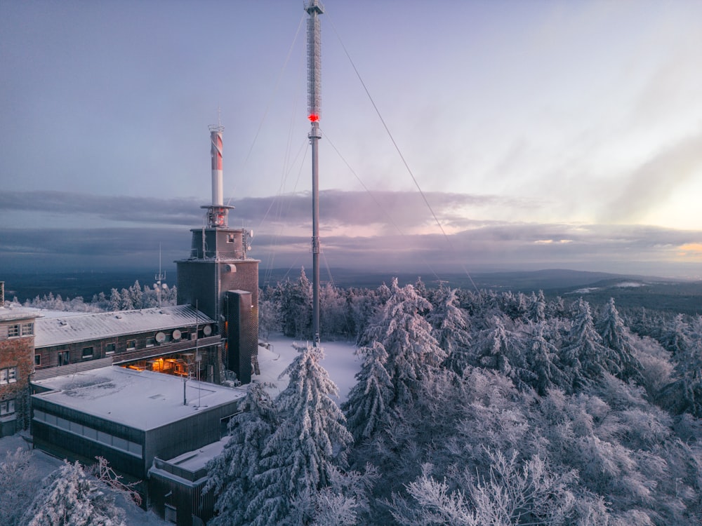 ein sehr hoher Turm mitten im Wald