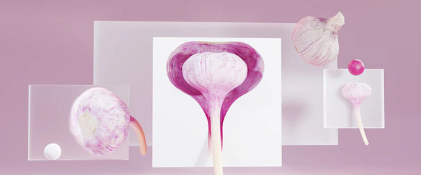 a picture of a purple flower with a white background