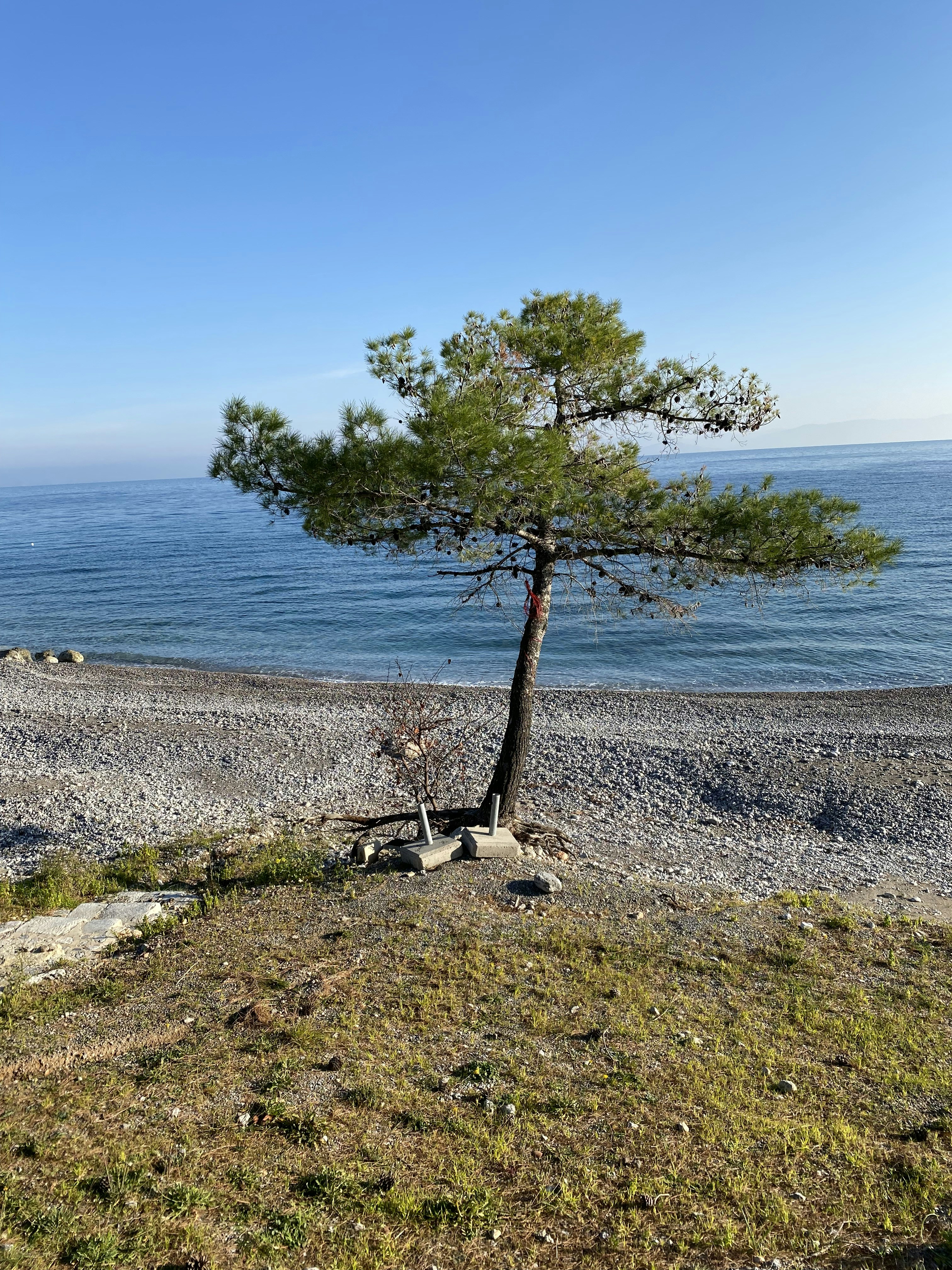 Photo by sostis
