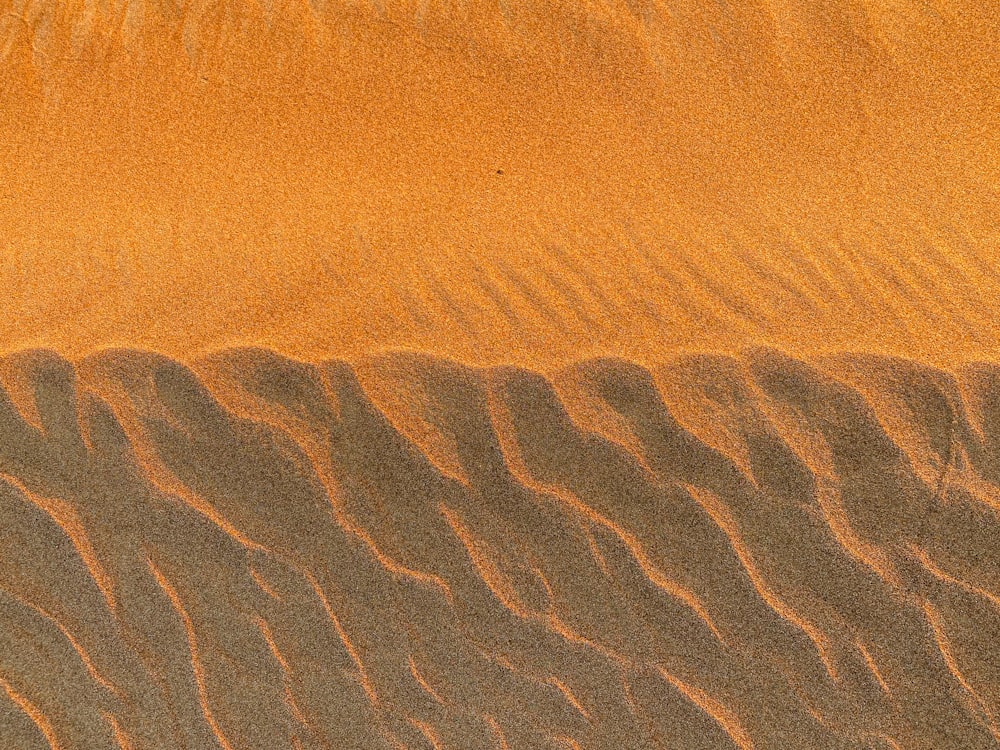 a bird flying over a sandy area in the desert